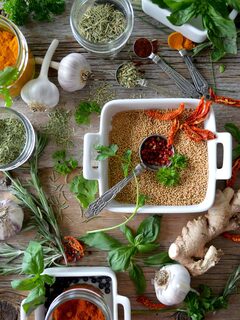 nadine-primeau--bLkT8wGV0I-unsplash